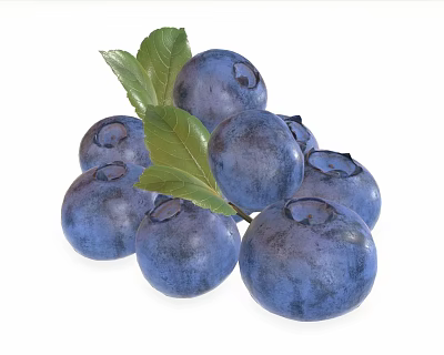 Modern Blueberry Realistic Blueberry Fruit 3d model Modern Blueberry Realistic Blueberry Fruit 3d model