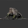 Rustic Tree Stump With Green Moss And Gray Gravel On Textured Base