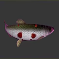 Decorative Fish Ornament With Silver White Body Red Spots And Green Fins