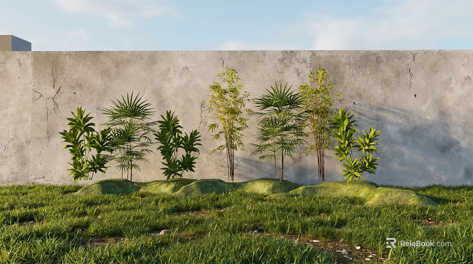 Bamboo Plants Growing In Green Grassland With Gray Wall And White Clouds Sky 3d model 