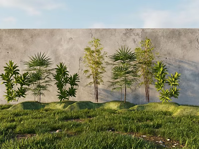 Bamboo Plants Growing In Green Grassland With Gray Wall And White Clouds Sky 3d model