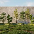 Bamboo Plants Growing In Green Grassland With Gray Wall And White Clouds Sky
