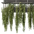 Multi Tiered Hanging Planter With Lush Trailing Green Foliage And Tropical Plants