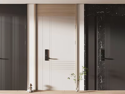 White Minimalist Swing Door With Dark Wood Panels And Marble Wall Decor 3d model