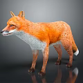 Lifelike Standing Fox with Perked Ears Orange and White Fur on Gray Reflective Surface