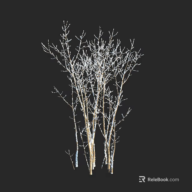 Shrub With Slender Branches Covered In White Frost On Black Background 3d model 
