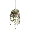 Lush Hanging Basket Planter With Pink Flowers Green Leaves And Trailing Vines