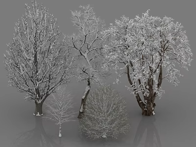 Snow Covered Arbor Trees In Various Sizes For Winter Landscape Design 3d model