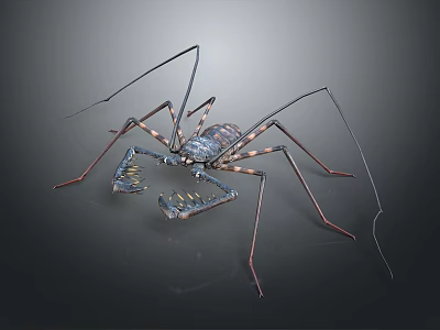 Realistic Scorpion With Long Legs And Patterned Carapace Body Structure 3d model