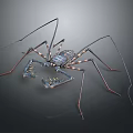 Realistic Scorpion With Long Legs And Patterned Carapace Body Structure 3d model