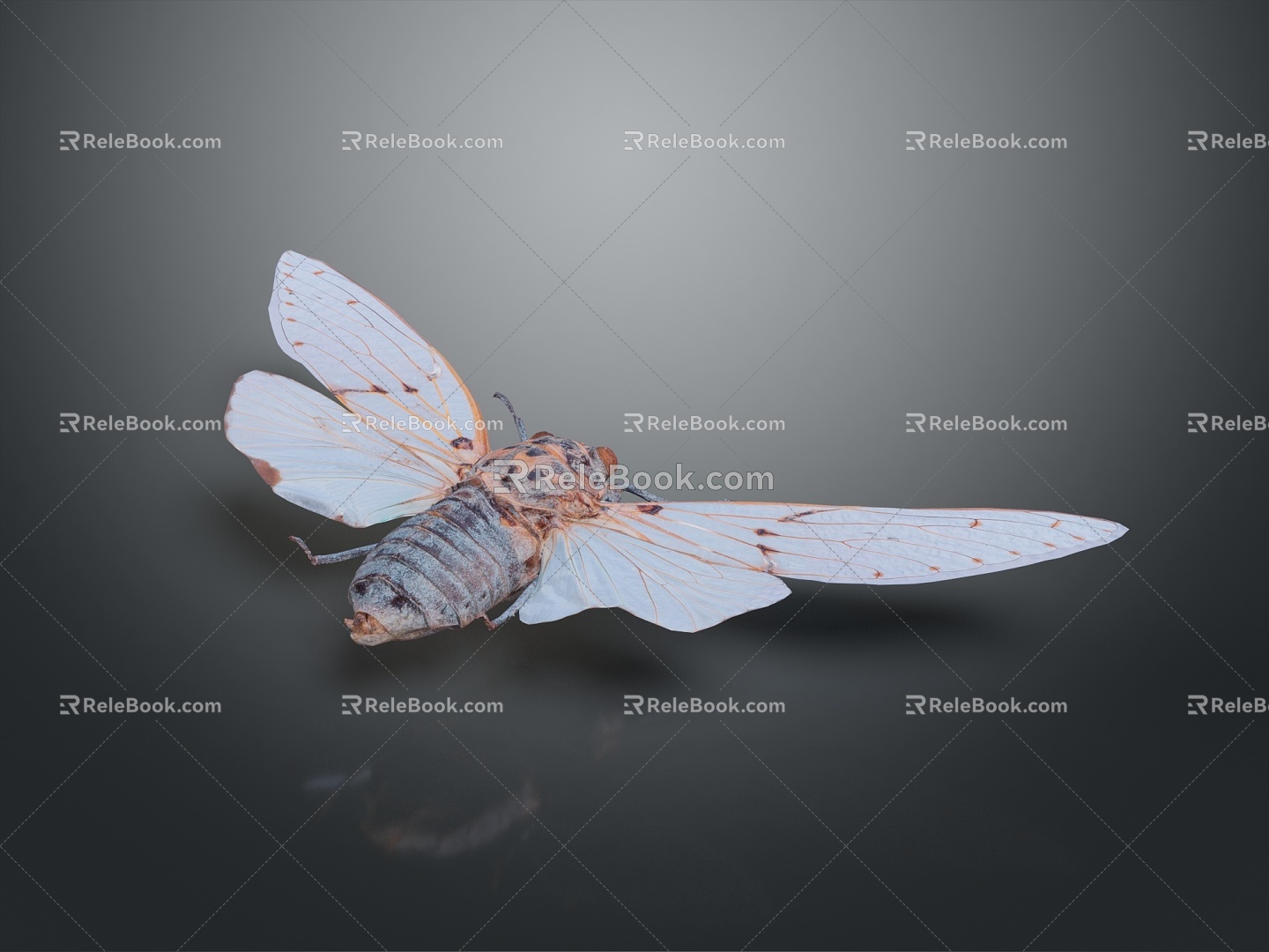 Moth Butterfly Colored Butterfly Tiger Butterfly Leaf Butterfly Flying Animals Flying Insects 3d model