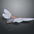 Moth Butterfly Colored Butterfly Tiger Butterfly Leaf Butterfly Flying Animals Flying Insects 3d model