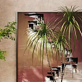 Bonsai Plant In Modern Indoor Space With Natural Light Concrete Pot And Stone Wall Design