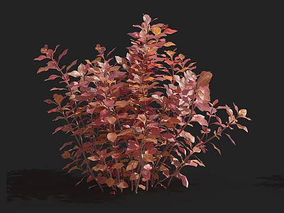 Vibrant Aquatic Plant With Pink And Red Leaves Lush Foliage 3D Rendering 3d model