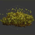 Tiny Freshwater Creatures Among Vibrant Yellow Aquatic Moss In Dark Background