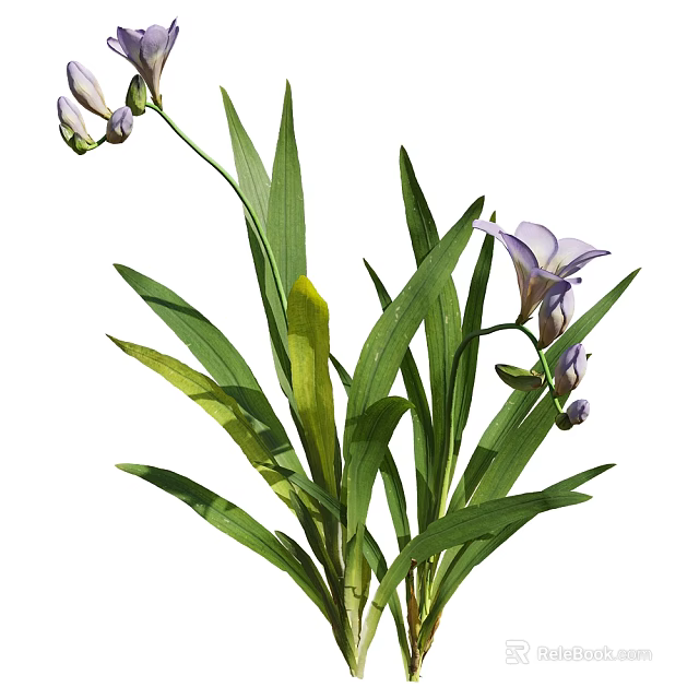 Vibrant Purple Flowers In Vase With Lush Green Leaves And Stems 3d model 