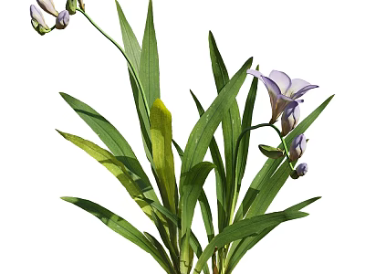 Vibrant Purple Flowers In Vase With Lush Green Leaves And Stems 3d model