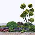 Lush Garden Shrubs With Colorful Flowers Trees And Wooden Deck Landscaping
