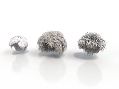Three Realistic Organ Models With Detailed Hair Structures On White Background 3d model