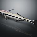 Modern fish Rema fish Crucian carp Freshwater fish Sea fish animal 3d model