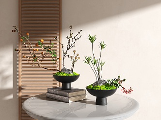 Bonsai potted landscape plant micro landscape 3d model