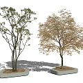 Modern Tree Landscape Tree 3d model