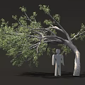 Leaning Tree With Green Leaves And Gray Human Silhouette Under Its Branches