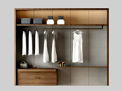 Modern Wooden Wardrobe Interior With Storage Boxes Hanging White Garments And Drawer Cabinet 3d model