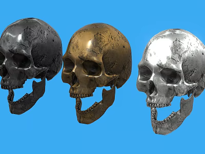 Three Black Gold And Silver Metallic Skulls Displayed On Blue Background 3d model