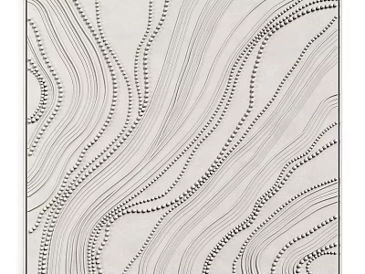 Modern Black And White Picture Frame With Wavy Lines And Dot Patterns Design 3d model