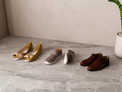 Assorted Shoes in Gold Gray Brown on Gray Floor with Light Wall and Green Plant 3d model