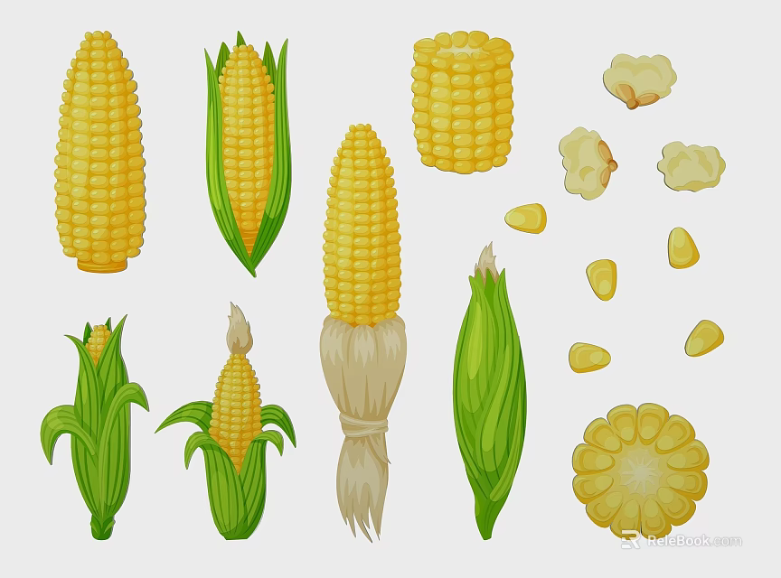 Corn In Various Forms Including Cobs With Green Leaves Kernels And Popcorn 3d model 