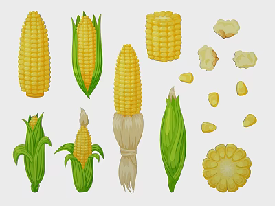 Corn In Various Forms Including Cobs With Green Leaves Kernels And Popcorn 3d model