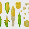 Corn In Various Forms Including Cobs With Green Leaves Kernels And Popcorn 3d model