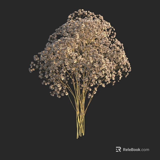 Delicate White Baby's Breath Bouquet With Golden Stems On Black Background 3d model 