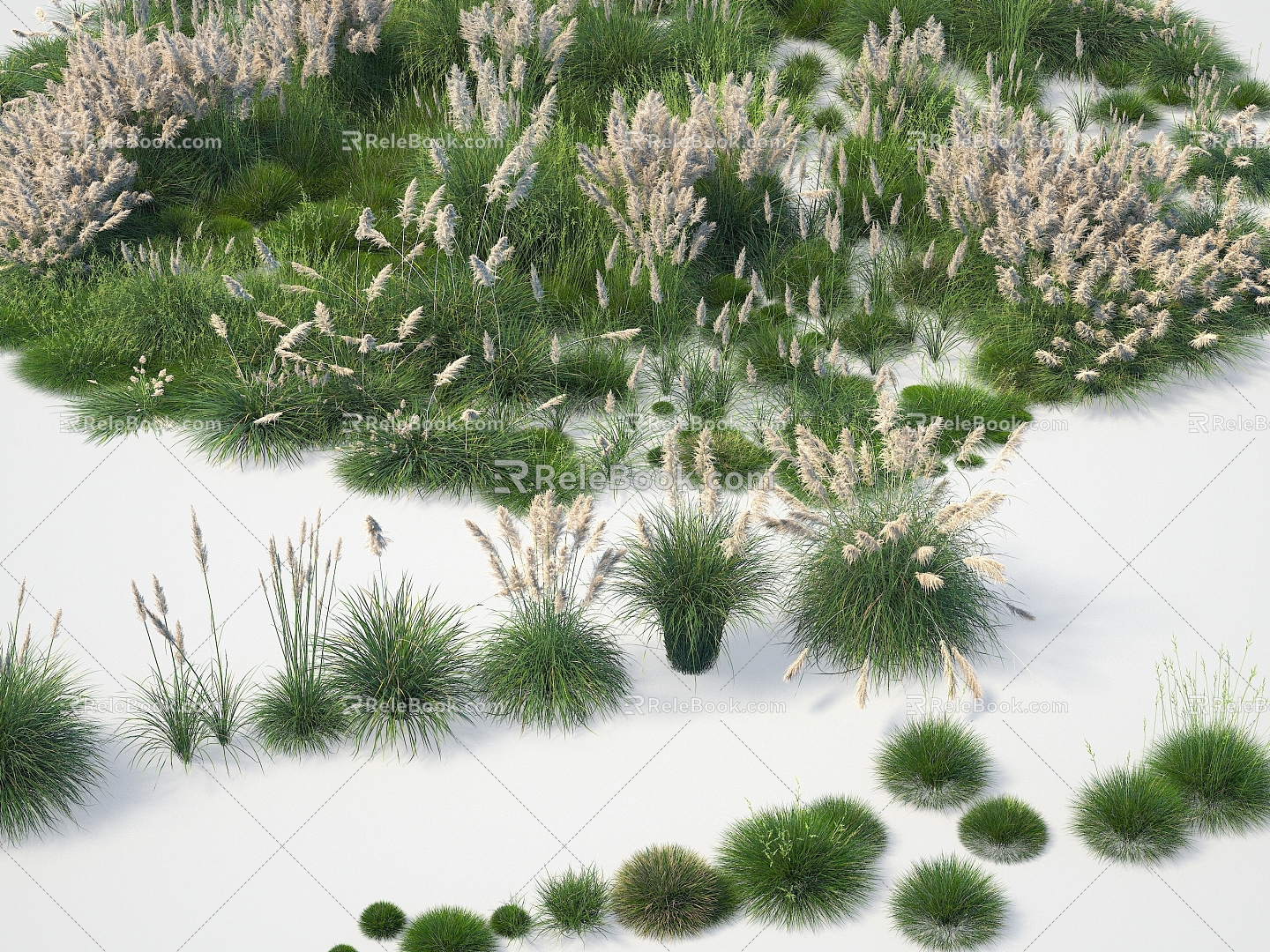 modern fescue moss reed reed plant fescue moss reed 3d model