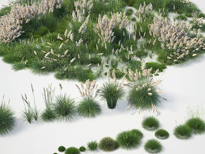 Various Lush Green Grasses And White Flowers In Natural Landscape 3d model