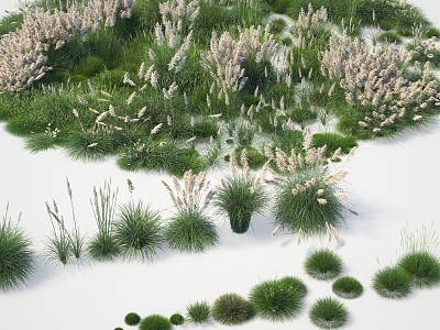 modern fescue moss reed plant fescue moss reed 3d model