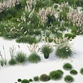 modern fescue moss reed reed plant fescue moss reed 3d model