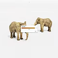 Two Large Realistic Elephant Models Standing On White Background With Tusks