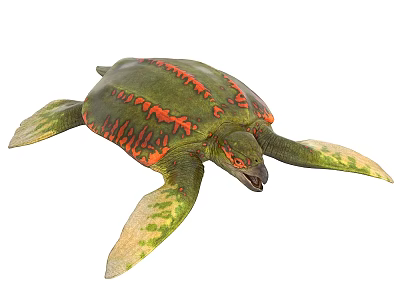 Vibrant Green and Orange Sea Turtle With Patterned Shell And Flippers 3d model