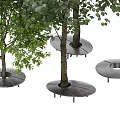 Circular Marble Tree Grates With Metal Legs Supporting Tree Trunks Outdoors