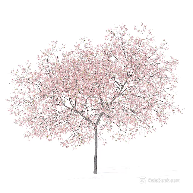 Beautiful Tree With Pink Blossoms And Lush Branches Isolated On White Background 3d model 