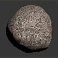 Rough Textured Natural Sphere With Porous Surface And Earthy Brown Color