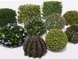 Now plant ball shrub ball hedgerow shrub plant pile 3d model