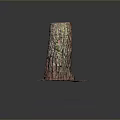 Artistic Tree Trunk With Colorful Bark Texture And Round Base Decoration