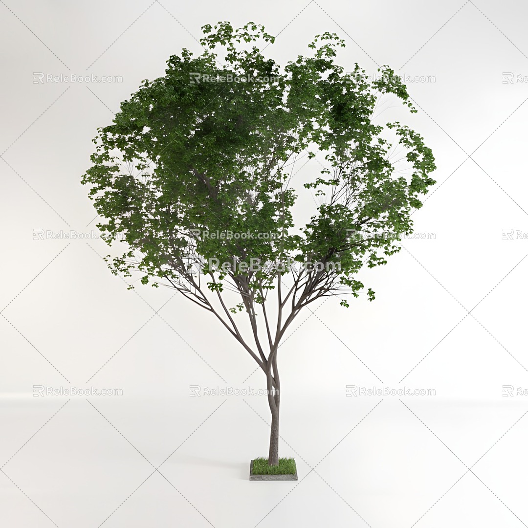 modern trees leaves leaves 3d model