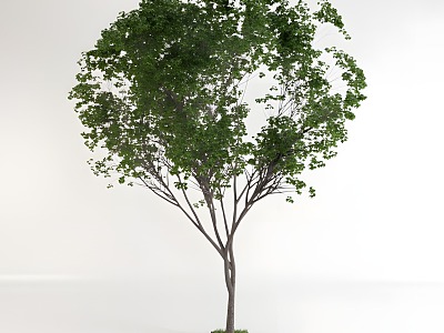 modern trees leaves 3d model