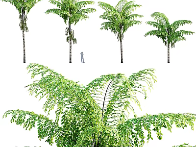 Arbor Trees With Lush Green Foliage And Tall Trunks For Landscape Design 3d model