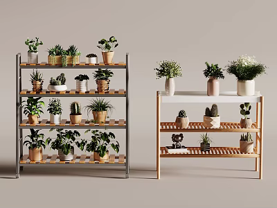 Different Types of Succulent Plants on Metal and Wooden Display Shelves with Various Pots 3d model